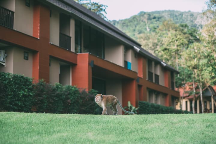 Tonsai Bay Resort