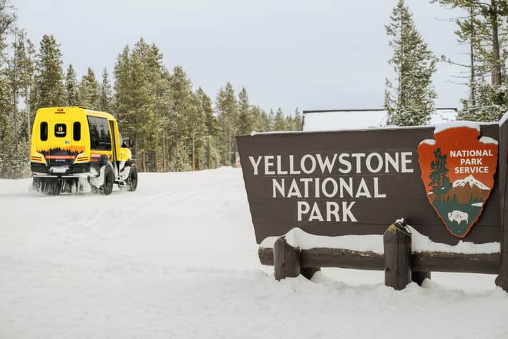 Explorer Cabins At Yellowstone