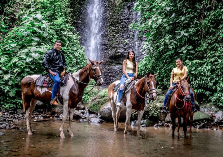 Arenal Paraíso Resort & Thermo Mineral Hot Springs
