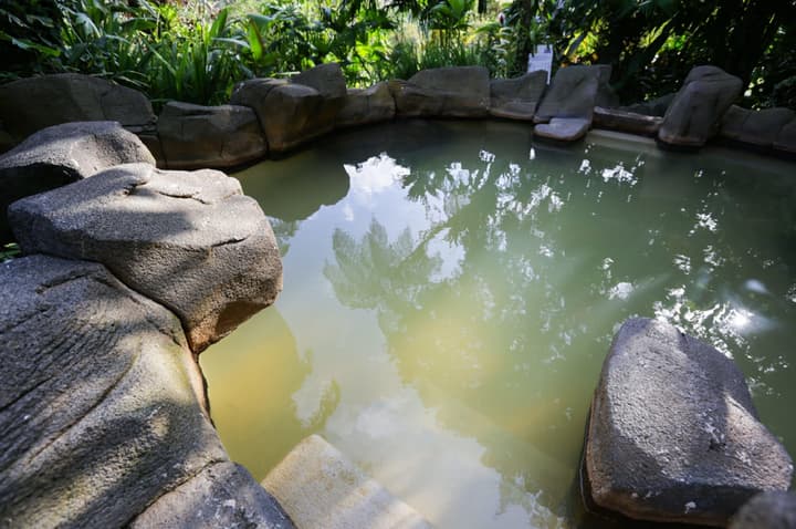 Arenal Paraíso Resort & Thermo Mineral Hot Springs