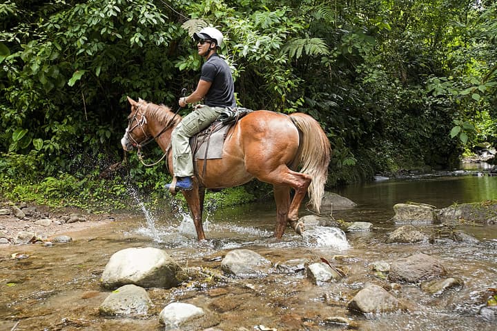 Arenal Paraíso Resort & Thermo Mineral Hot Springs