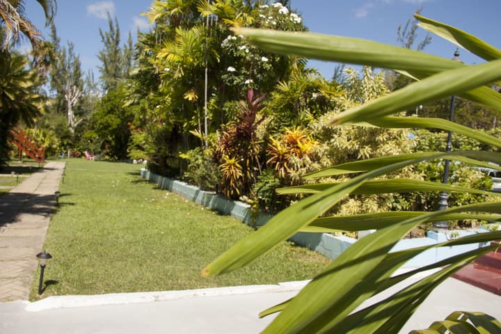 Vedanta Resort