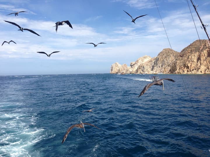 Hyatt Place Los Cabos