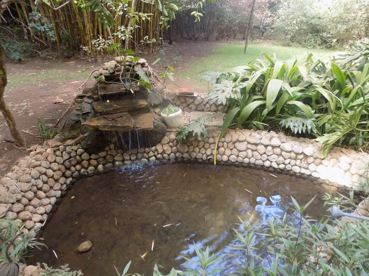 Octagon Lodge