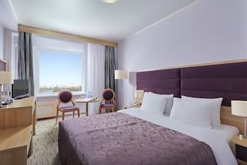 Hotel Izmailovo Delta