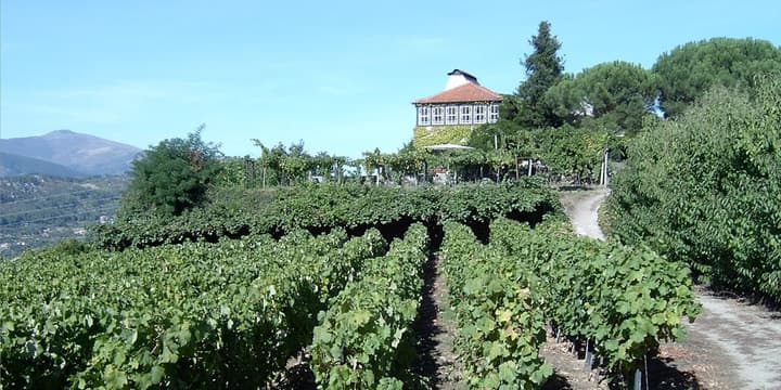 Douro Marina Hotel & SPA