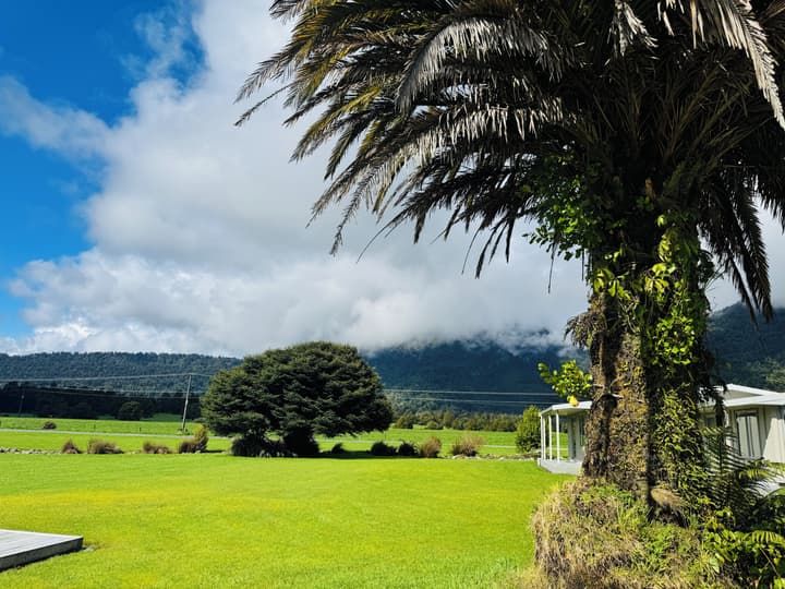Franz Josef Oasis