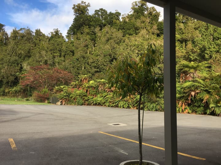 Franz Josef Oasis