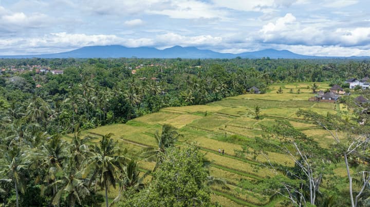 The Lokha Ubud Resort, Villas & SPA