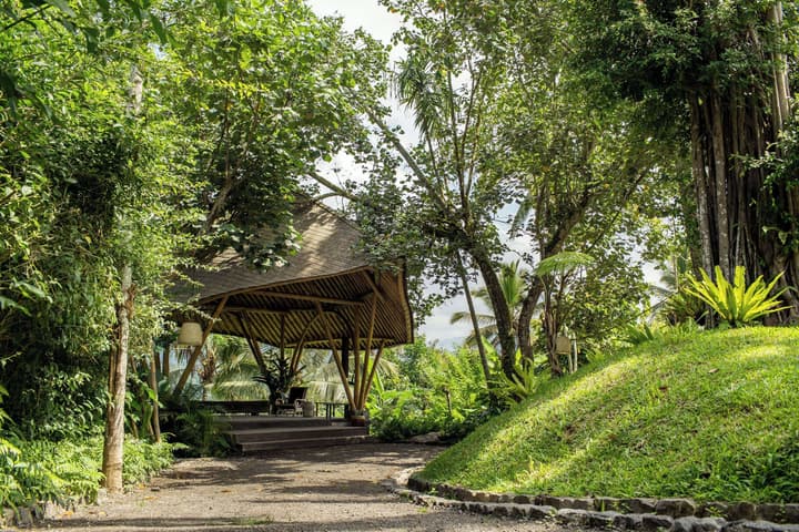 Buahan, A Banyan Tree Escape