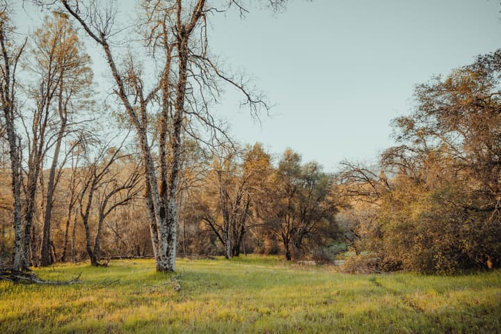 Sierra Sky Ranch