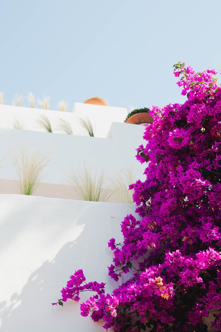 Ritual de Terra Javea Resort & Spa