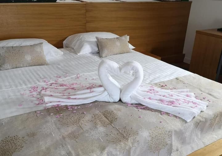 Hotel Palcich