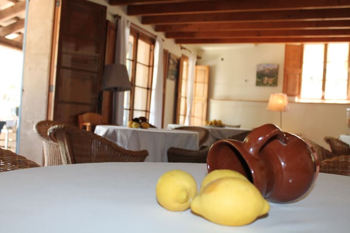 Nou Dalt Muntanya Rural Hotel