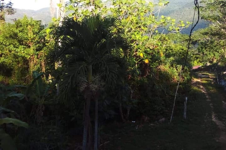 Lovely 1-bed Cottage in St Catherine