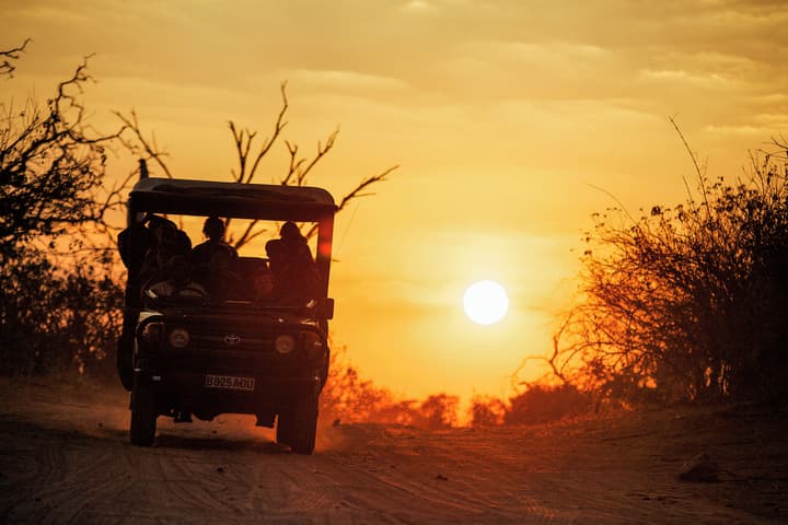 Chobe Safari Lodge