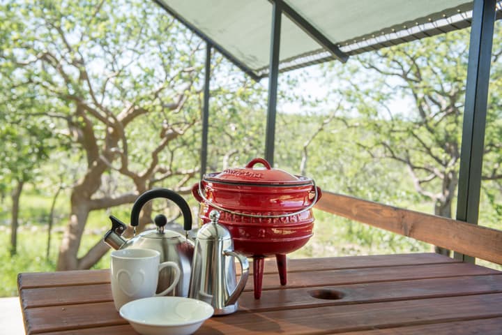 Etosha Safari Camping2Go