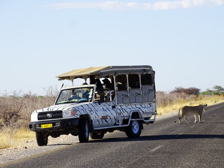 Etosha Safari Camping2Go