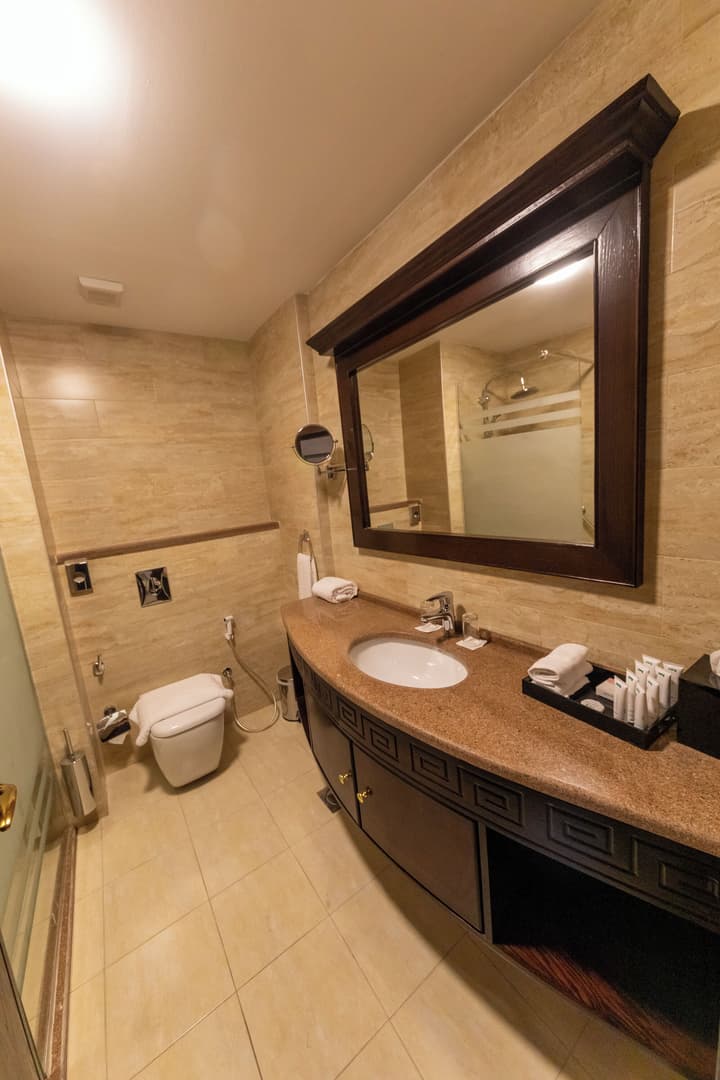 Petra Canyon Hotel