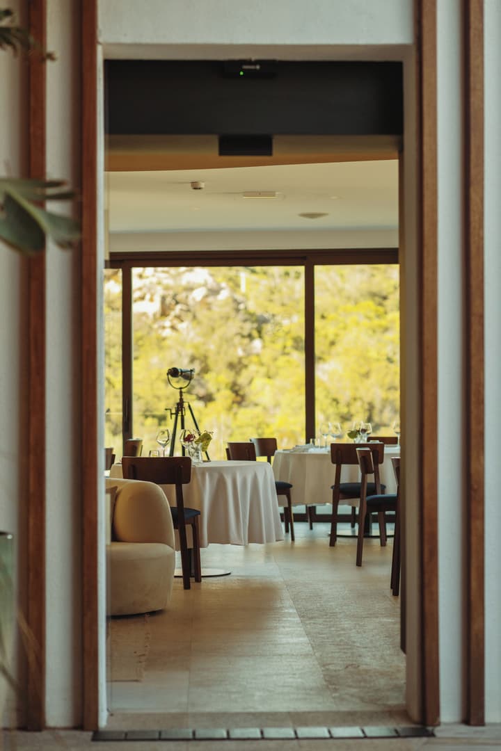 Hotel Delle Rose a Luxury Boutique Hotel