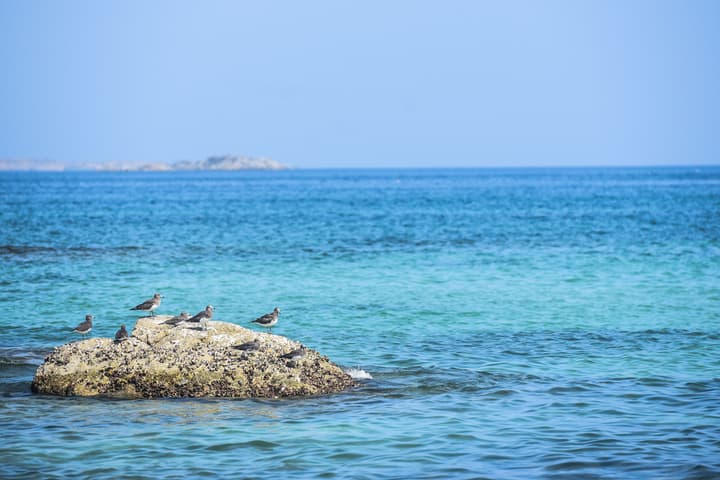 Wyndham Garden Salalah Mirbat