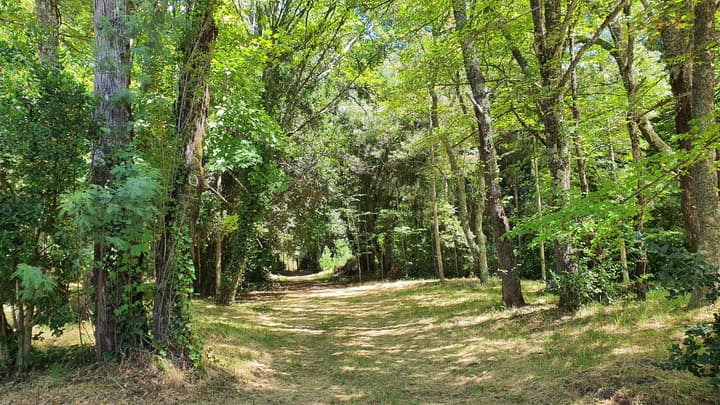 Das Dorf