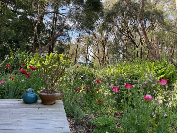 Tindoona Cottages