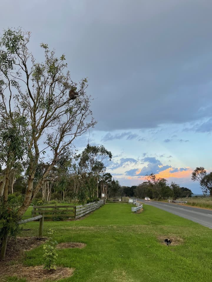 Tindoona Cottages