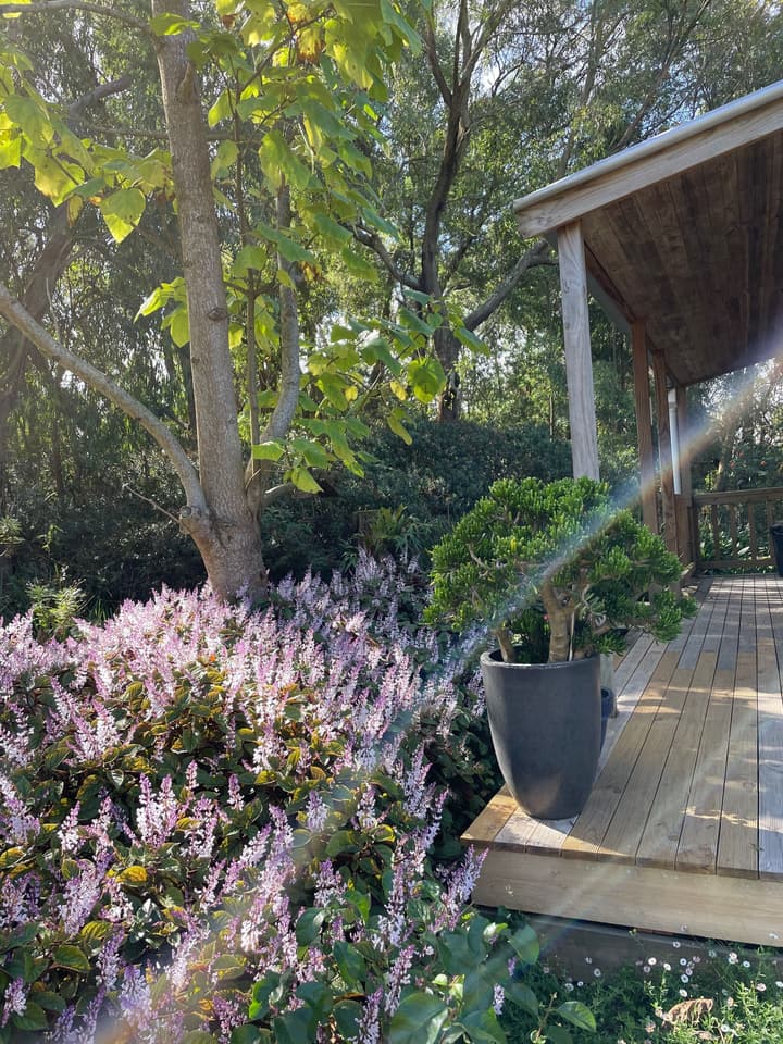 Tindoona Cottages