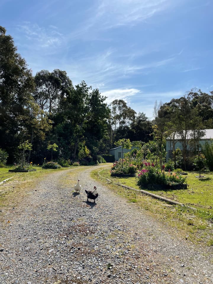 Tindoona Cottages