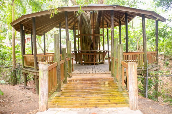 The Blue Mahoe Treehouse