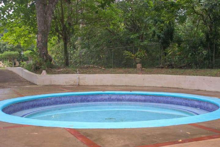 The Blue Mahoe Treehouse
