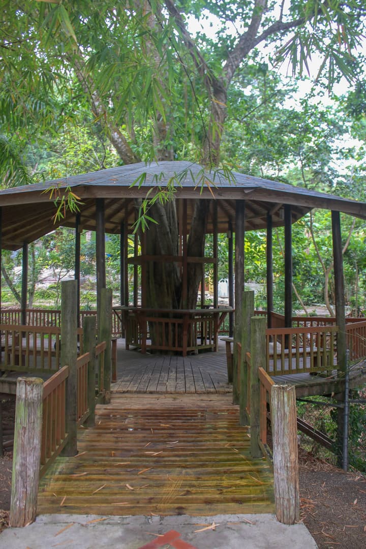 The Blue Mahoe Treehouse