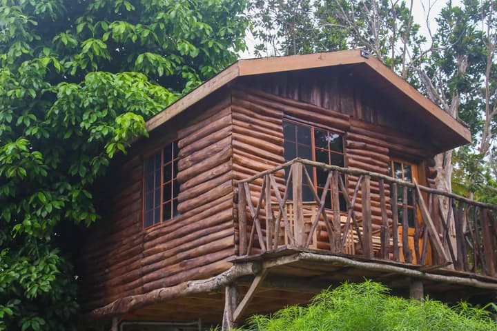 The Blue Mahoe Treehouse