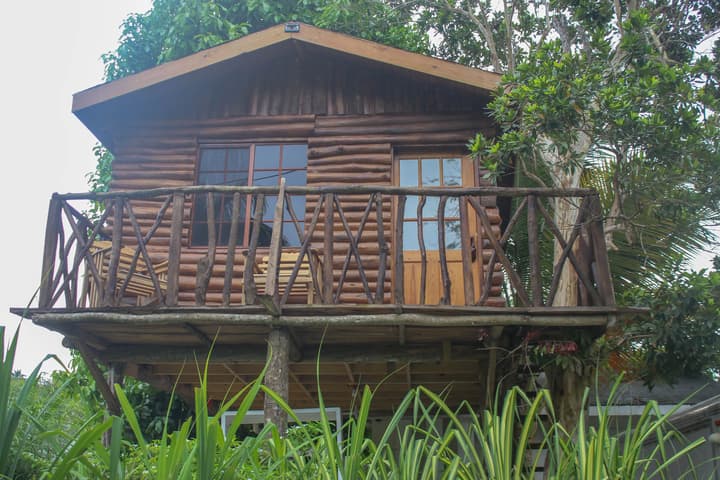 The Blue Mahoe Treehouse