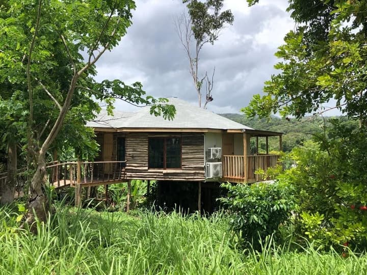 The Blue Mahoe Treehouse