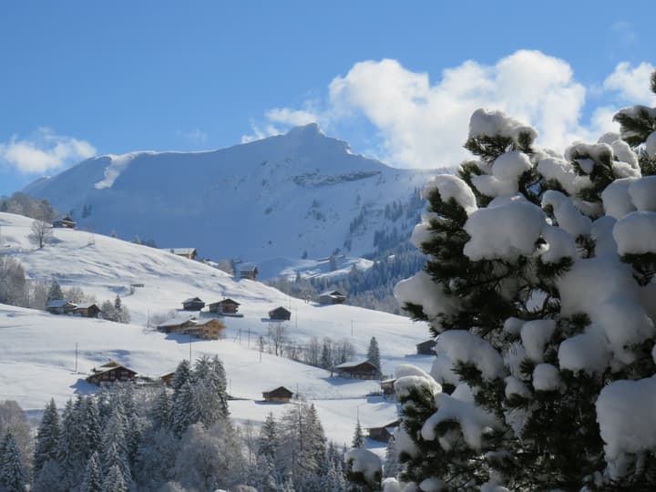 Gasthof Bären