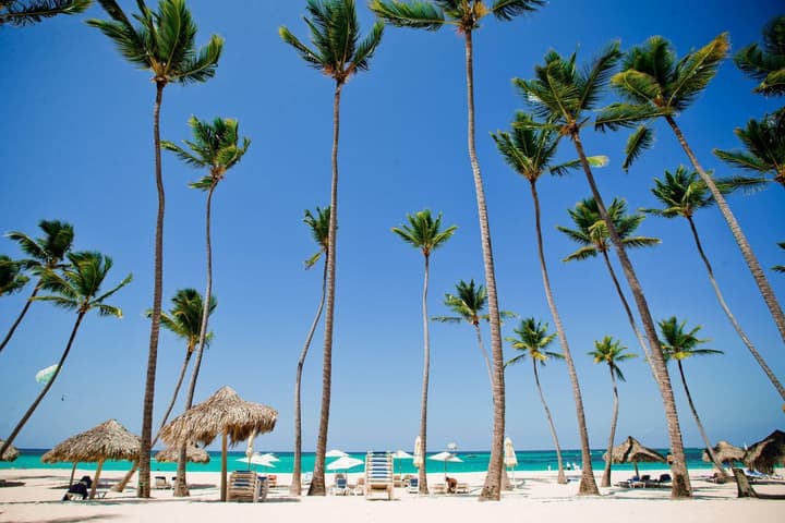 Punta Cana Beachfront - Punta Cana Ocean View Paradise