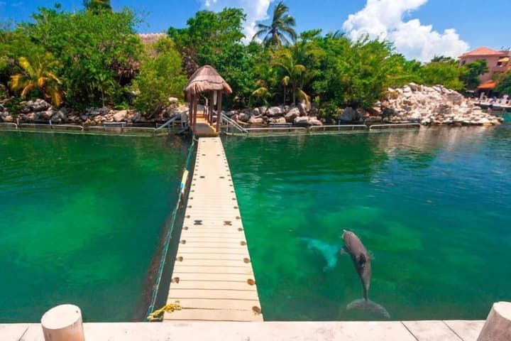 Modern Studio Puerto Aventuras 202
