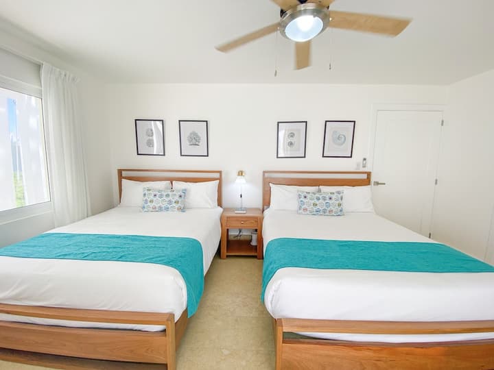 Xeliter Green One Playa Dorada