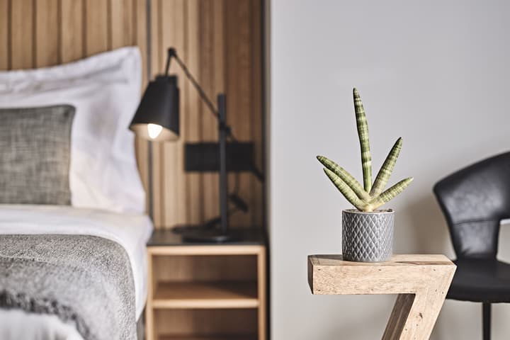 Cama Luxury Suites Glyfada