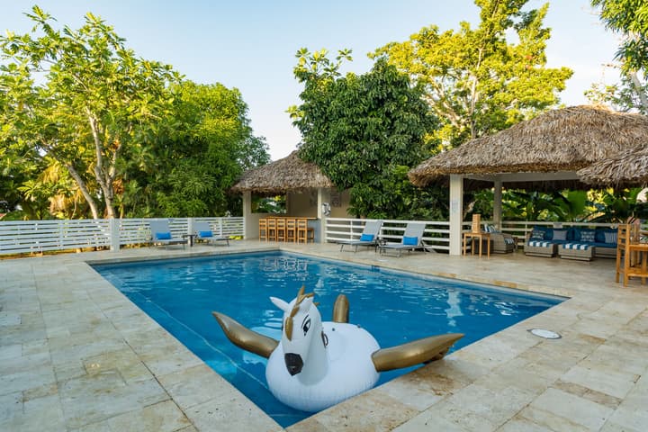 Blue Paloma Bed & Breakfast