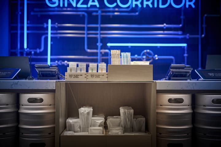 The Royal Park Canvas Ginza Corridor