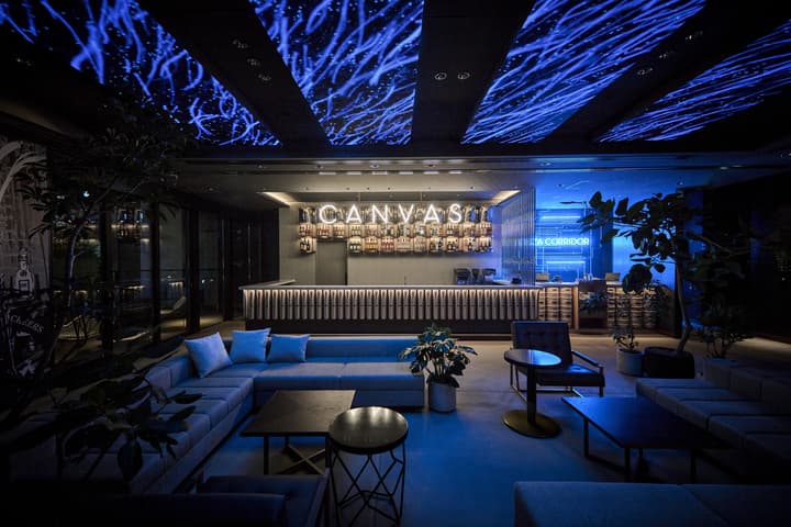 The Royal Park Canvas Ginza Corridor