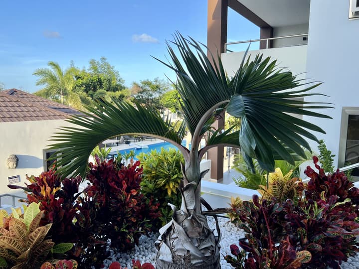 Xanadu Apartments at Blue Bay Golf & Beach Resort