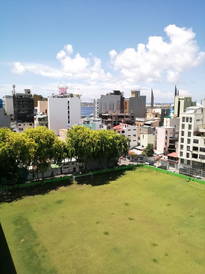 The Grand View