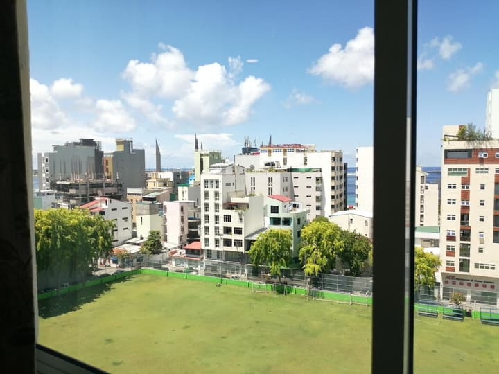 The Grand View