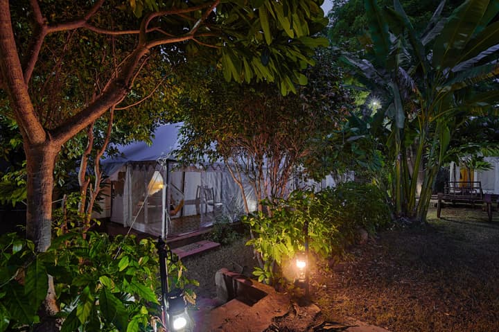 Ranthambore Tiger Resort by Park Tree