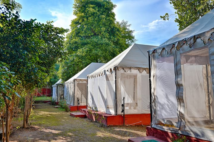 Ranthambore Tiger Resort by Park Tree