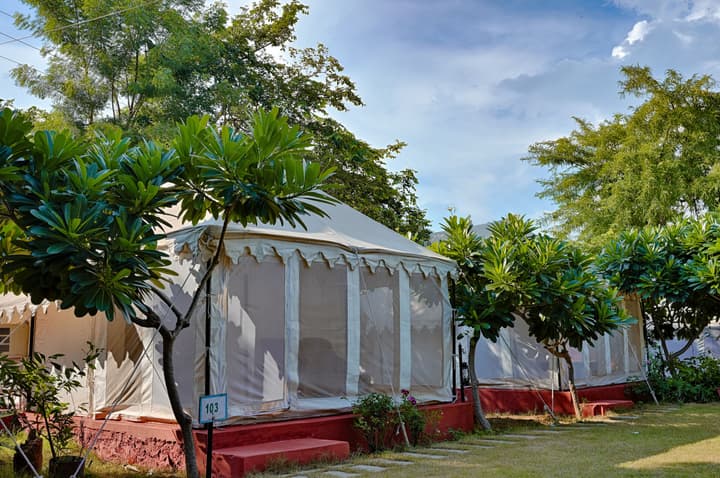 Ranthambore Tiger Resort by Park Tree